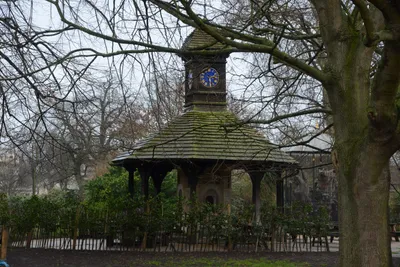 DSC_6225 (Large).JPG